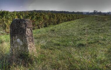 1 vue (ouvre la visionneuse)