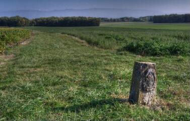 1 vue (ouvre la visionneuse)