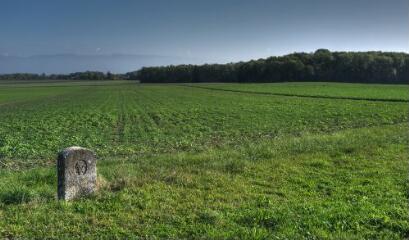 1 vue (ouvre la visionneuse)