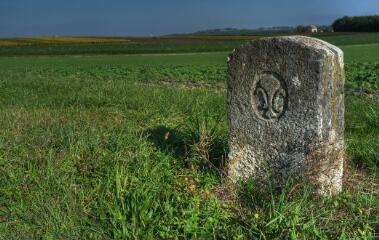 1 vue (ouvre la visionneuse)