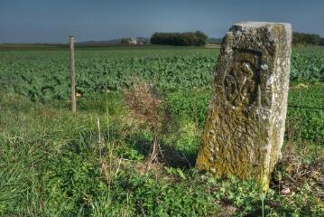 1 vue (ouvre la visionneuse)