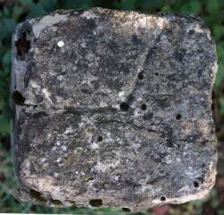 1 vue (ouvre la visionneuse)