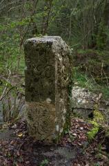 1 vue (ouvre la visionneuse)