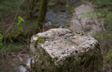 1 vue (ouvre la visionneuse)