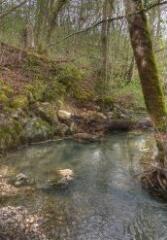 1 vue (ouvre la visionneuse)