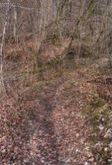 1 vue (ouvre la visionneuse)