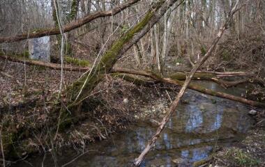 1 vue (ouvre la visionneuse)