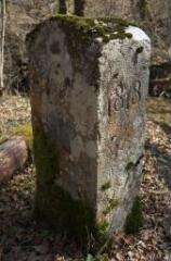 1 vue (ouvre la visionneuse)