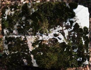 1 vue (ouvre la visionneuse)