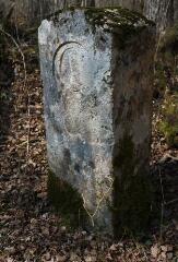 1 vue (ouvre la visionneuse)