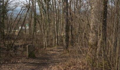 1 vue (ouvre la visionneuse)