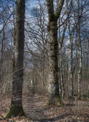 1 vue (ouvre la visionneuse)