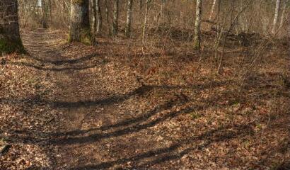 1 vue (ouvre la visionneuse)