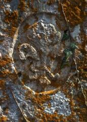 1 vue (ouvre la visionneuse)