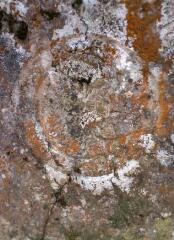 1 vue (ouvre la visionneuse)