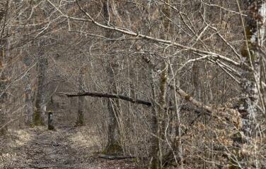 1 vue (ouvre la visionneuse)