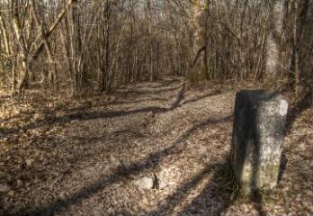 1 vue (ouvre la visionneuse)