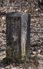 1 vue (ouvre la visionneuse)