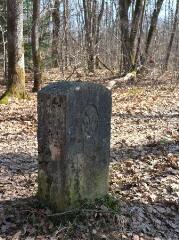 1 vue (ouvre la visionneuse)