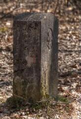 1 vue (ouvre la visionneuse)