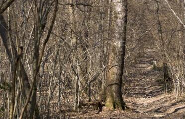 1 vue (ouvre la visionneuse)