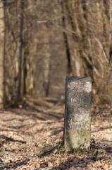 1 vue (ouvre la visionneuse)