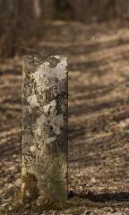 1 vue (ouvre la visionneuse)