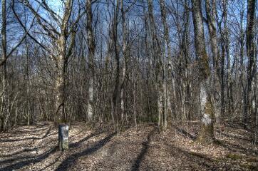 1 vue (ouvre la visionneuse)