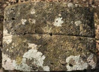 1 vue (ouvre la visionneuse)