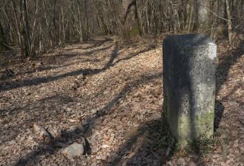 1 vue (ouvre la visionneuse)