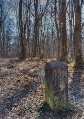 1 vue (ouvre la visionneuse)