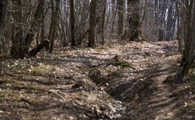 1 vue (ouvre la visionneuse)