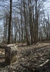 1 vue (ouvre la visionneuse)