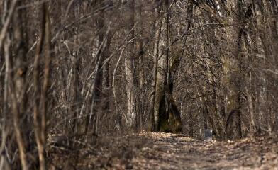 1 vue (ouvre la visionneuse)