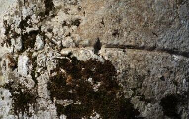 1 vue (ouvre la visionneuse)