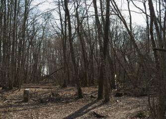 1 vue (ouvre la visionneuse)