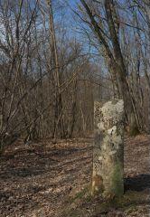 1 vue (ouvre la visionneuse)