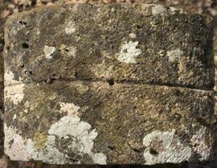 1 vue (ouvre la visionneuse)