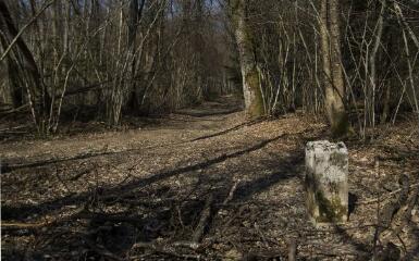 1 vue (ouvre la visionneuse)