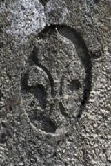 1 vue (ouvre la visionneuse)