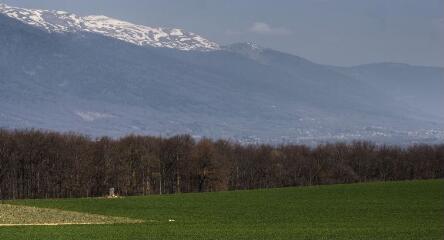 1 vue (ouvre la visionneuse)