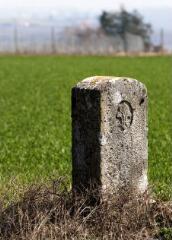 1 vue (ouvre la visionneuse)