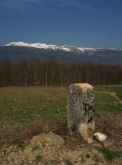 1 vue (ouvre la visionneuse)