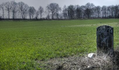 1 vue (ouvre la visionneuse)