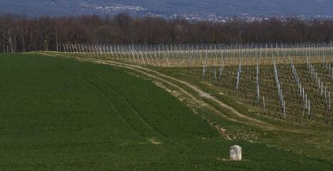 1 vue (ouvre la visionneuse)