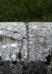 1 vue (ouvre la visionneuse)