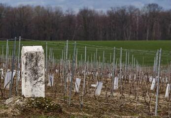 1 vue (ouvre la visionneuse)