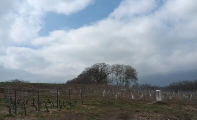 1 vue (ouvre la visionneuse)