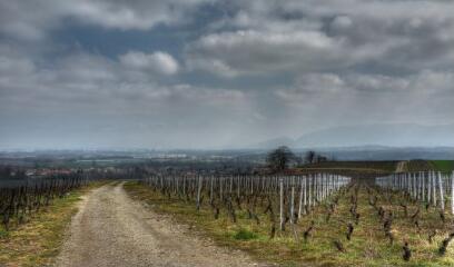 1 vue (ouvre la visionneuse)
