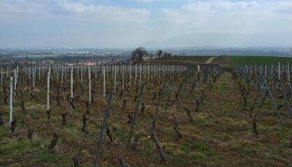 1 vue (ouvre la visionneuse)